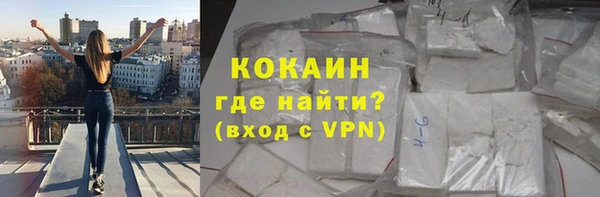 твердый Магас