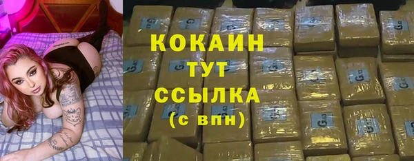 твердый Магас