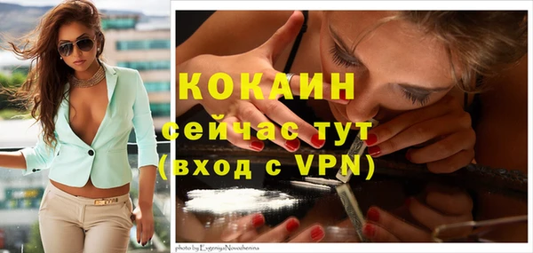 стаф Майский