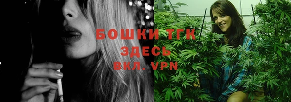 стаф Майский