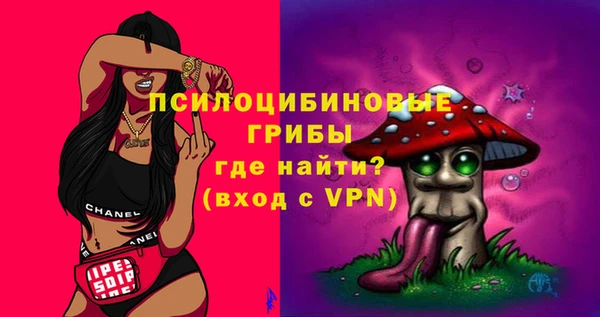 стаф Майский