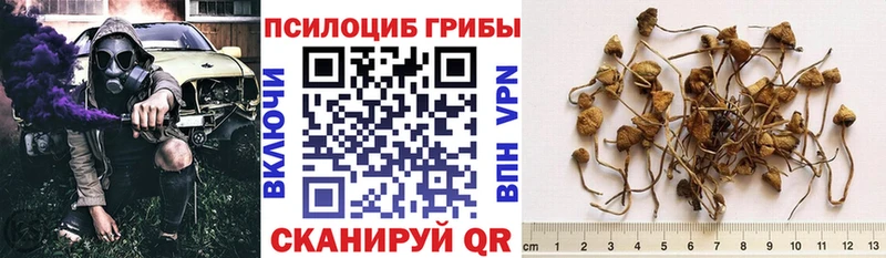 Псилоцибиновые грибы Psilocybe Красновишерск